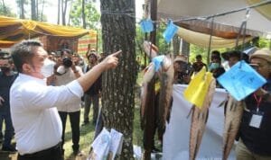 e729751b-27cc-47b8-b892-6a383b4e9ef6