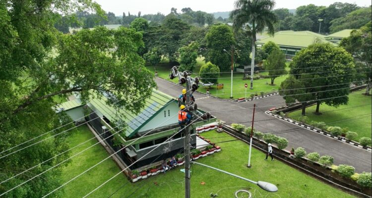 Pemeliharaan Rekonstruksi dan Right of Way Jaringan Tegangan Menengah 20 kV, salah satu upaya preventif jaga keandalan listrik