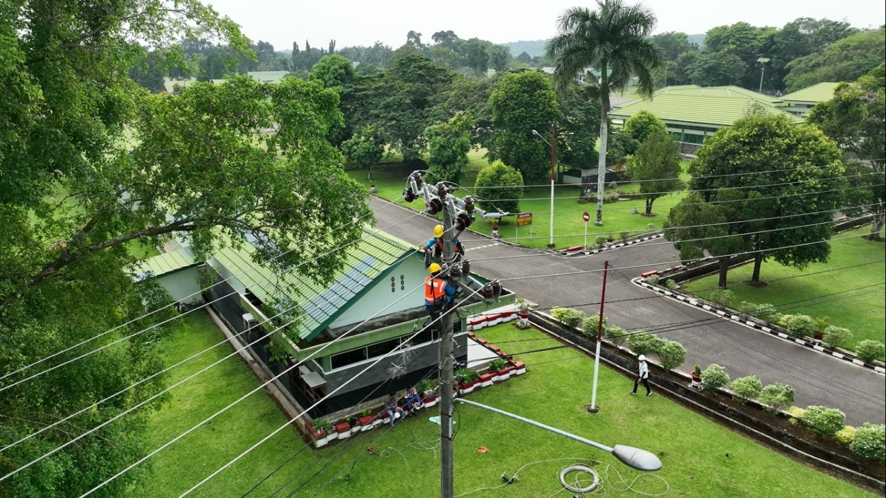 Pemeliharaan Rekonstruksi dan Right of Way Jaringan Tegangan Menengah 20 kV, salah satu upaya preventif jaga keandalan listrik