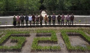 Program rehabilitasi Mangrove di rangkaian KTT G20, Rabu (16/11/2022)