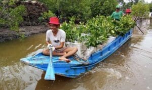 Salah satu wilayah Rehabilitasi Daerah Aliran Sungai (DAS) PT Bukit Asam Salah satu wilayah Rehabilitasi Daerah Aliran Sungai (DAS) PT Bukit Asam