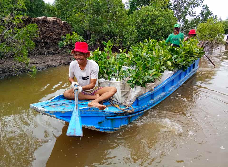 Salah satu wilayah Rehabilitasi Daerah Aliran Sungai (DAS) PT Bukit Asam