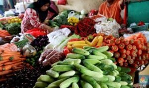 pilihan sayuran yang baik untuk dikonsumsi penderita asam urat pilihan sayuran yang baik untuk dikonsumsi penderita asam urat
