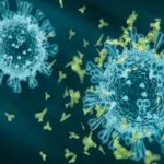 Virus Covid varian Kraken