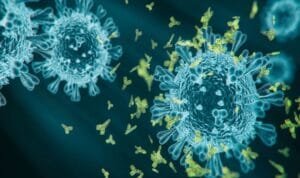 Virus Covid varian Kraken