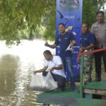 PT Bukit Asam Tbk (PTBA) melakukan penebaran benih ikan di Sungai Enim yang dipusatkan di Taman Love Tanjung Enim, Kecamatan Lawang Kidul, Kabupaten Muara Enim, Jumat (24/2/2023) dalam rangka HUT ke-42 PTBA