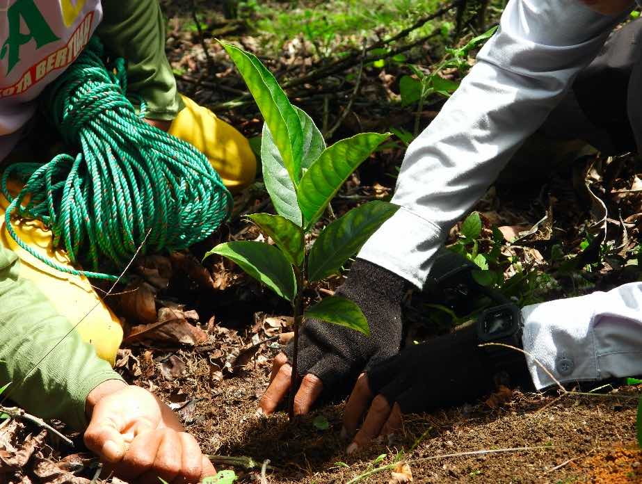 PT Bukit Asam Tbk (PTBA) siap meningkatkan kapasitas pusat persemaian dalam rangka mendukung program rehabilitasi daerah aliran sungai (DAS) serta program Tanjung Enim Kota Wisata