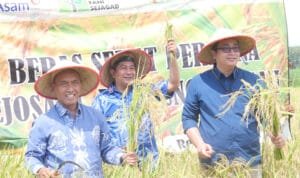 Panen Perdana Beras Sehat di Desa Rejosari Mataram
