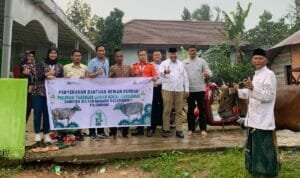 PT Angkasa Pura menyerahkan 2 ekor sapi kepada masyarakat sekitar Bandara Sultan Mahmud Badaruddin (SMB) II Palembang. PT Angkasa Pura menyerahkan 2 ekor sapi kepada masyarakat sekitar Bandara Sultan Mahmud Badaruddin (SMB) II Palembang.