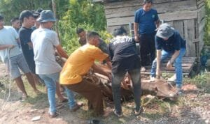 Pengurus Daerah Ikatan Wartawan Online kabupaten Musi Banyuasin membagikan Ratusan Kantong Daging Sapi Qurban, Kamis (29/6/2023). Pengurus Daerah Ikatan Wartawan Online kabupaten Musi Banyuasin membagikan Ratusan Kantong Daging Sapi Qurban, Kamis (29/6/2023).
