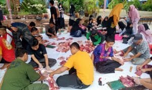 Sekolah Menengah Atas (SMA) Negeri 6 Palembang menggelar pemotongan hewan kurban sebanyak 3 ekor sapi, Sabtu (1/7/2023) Sekolah Menengah Atas (SMA) Negeri 6 Palembang menggelar pemotongan hewan kurban sebanyak 3 ekor sapi, Sabtu (1/7/2023)