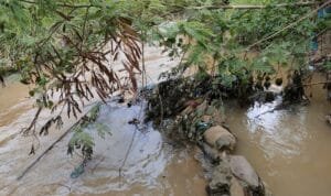 WhatsApp Image 2023-07-11 at 11.05.24 AM (1)