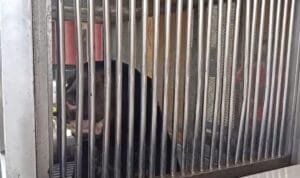 WhatsApp Image 2023-09-21 at 16.21.16