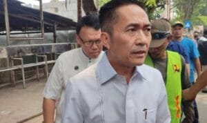 WhatsApp Image 2023-10-07 at 16.40.50