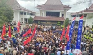 WhatsApp Image 2023-12-12 at 20.42.53