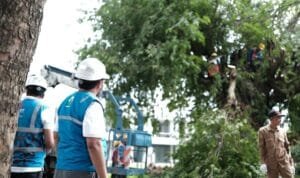 WhatsApp Image 2024-05-04 at 18.40.49