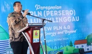 WhatsApp Image 2024-05-20 at 17.32.42