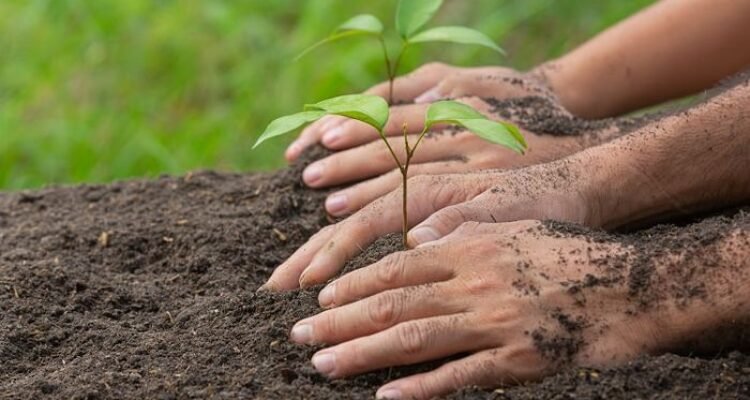 a42f3194-e149-47f4-b1ac-1594ce920e72