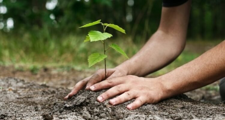 b9cb1b1b-e2a4-4037-bda7-d9dabe12b01c